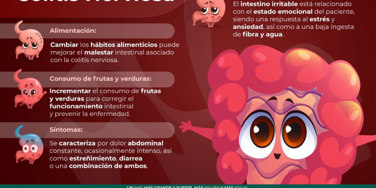 Recomienda IMSS Veracruz Sur sana alimentación para evitar colitis nerviosa