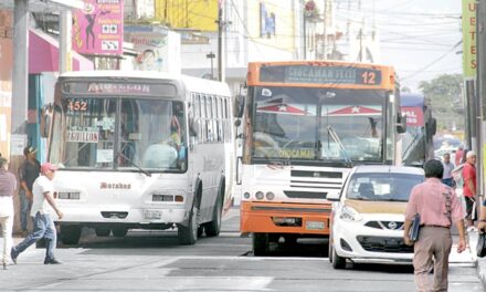 Sin servicio de pasaje, en Fraternidad Arboledas