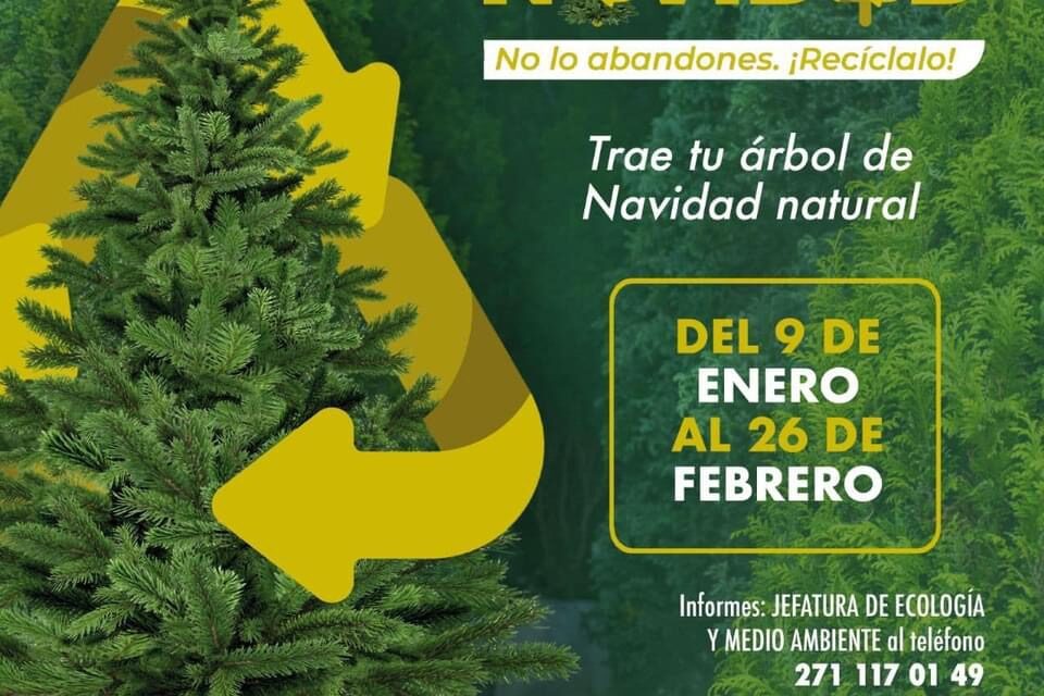 Mañana concluye campaña Recicla Tu Navidad