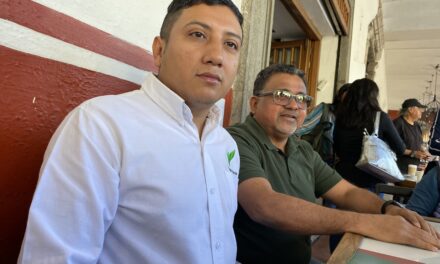 Se declara listo, el partido Verde Ecologista para la elección