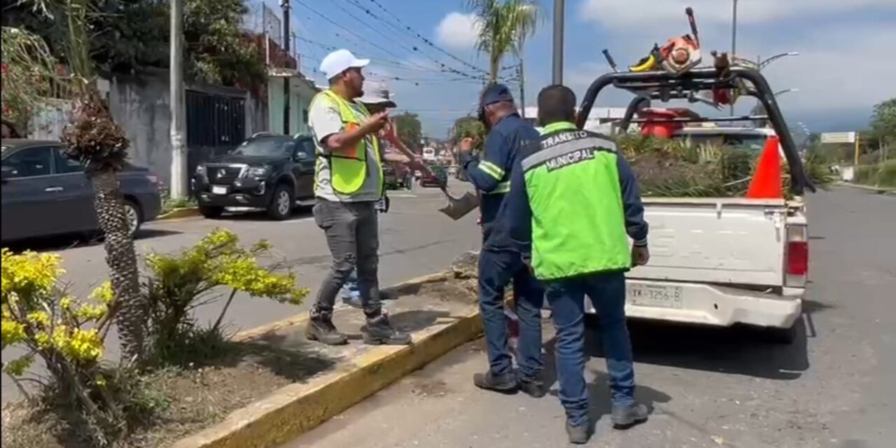 Limpian y balizan bulevar “Agustín Millán” en Córdoba