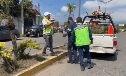 Limpian y balizan bulevar “Agustín Millán” en Córdoba