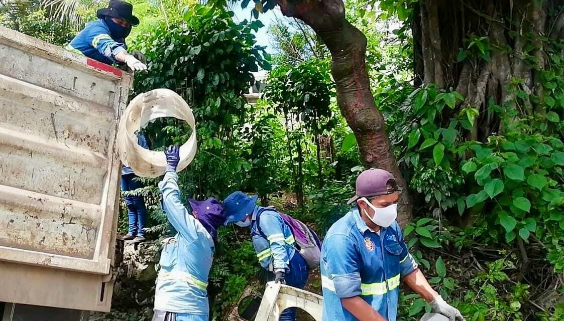 Desde casa se previene el dengue eliminando los criaderos de moscos