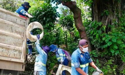 Desde casa se previene el dengue eliminando los criaderos de moscos