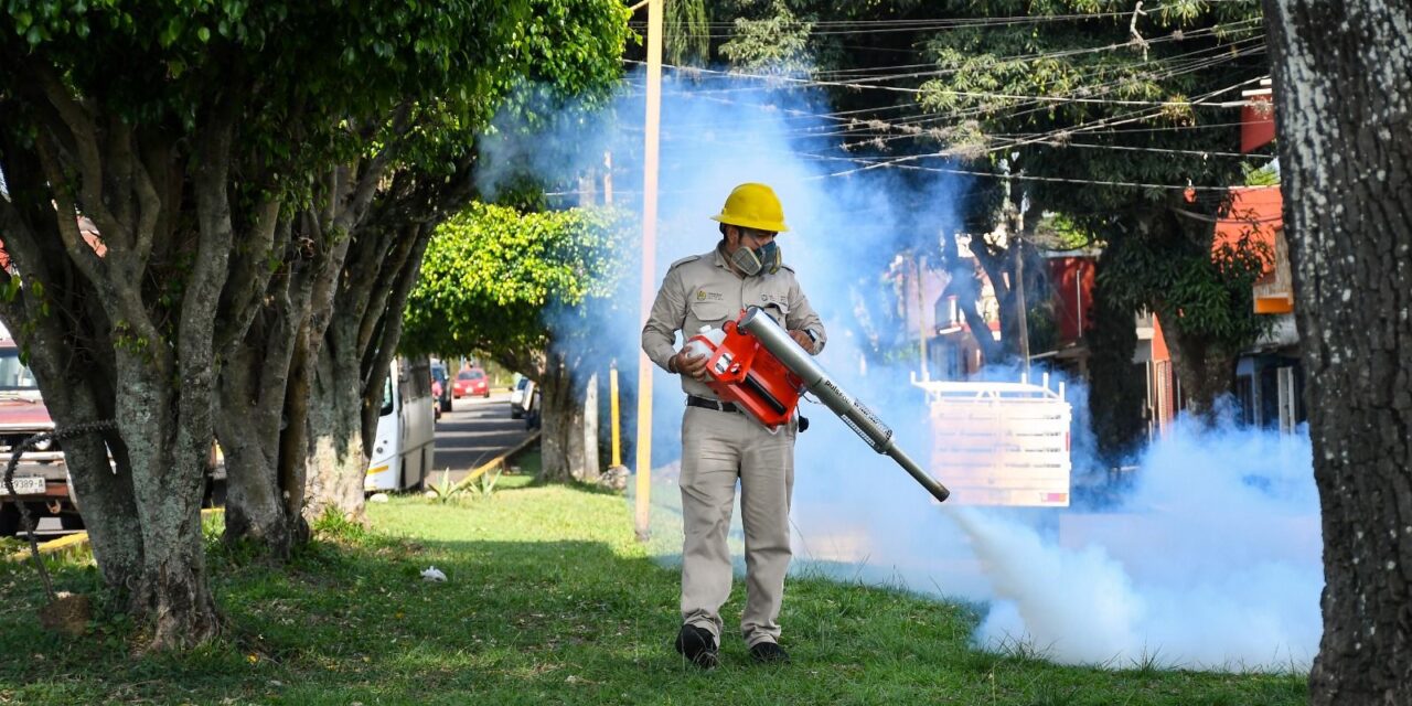 Se refuerza la prevención de Zika, Dengue y Chikungunya en Córdoba