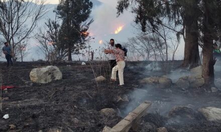 Arrasa incendio con más de 200 hectáreas