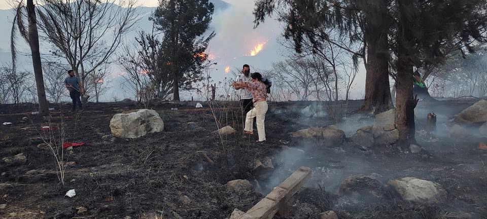 Arrasa incendio con más de 200 hectáreas