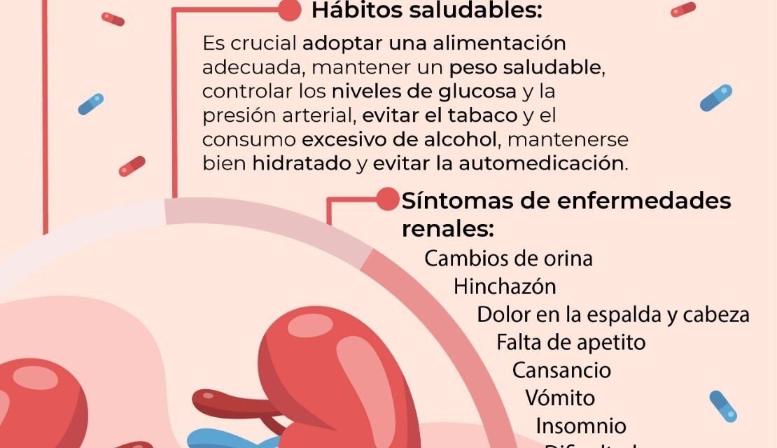 Buena alimentación y ejercicio; acciones para evitar enfermedades renales: IMSS Veracruz Sur