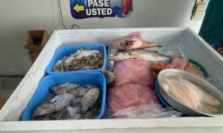 Se incrementa demanda en venta de mariscos