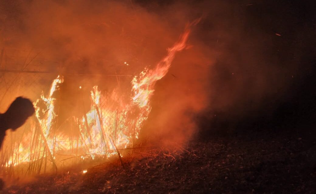 Ataca y extingue protección civil en conjunto con bomberos Córdoba incendio en predio