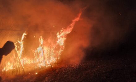 Ataca y extingue protección civil en conjunto con bomberos Córdoba incendio en predio