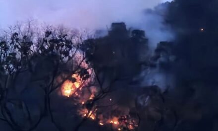 Se registra otro incendio forestal, ahora en Tenango