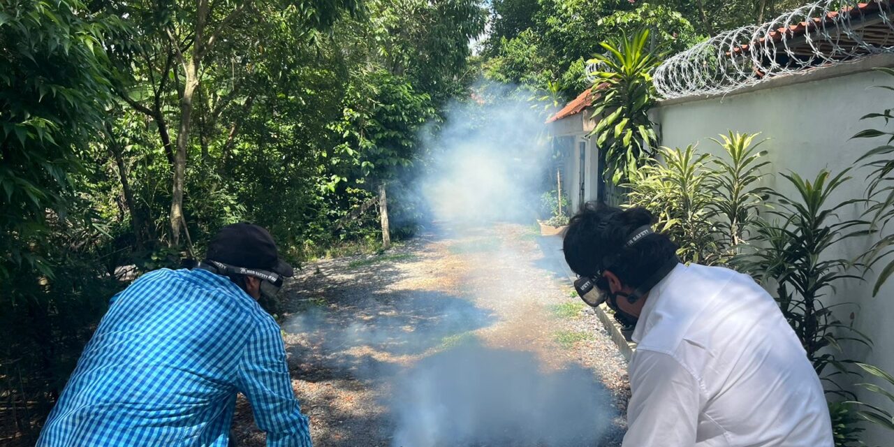 Desde casa se evita el dengue, zika y chikungunya eliminando criaderos de mosco