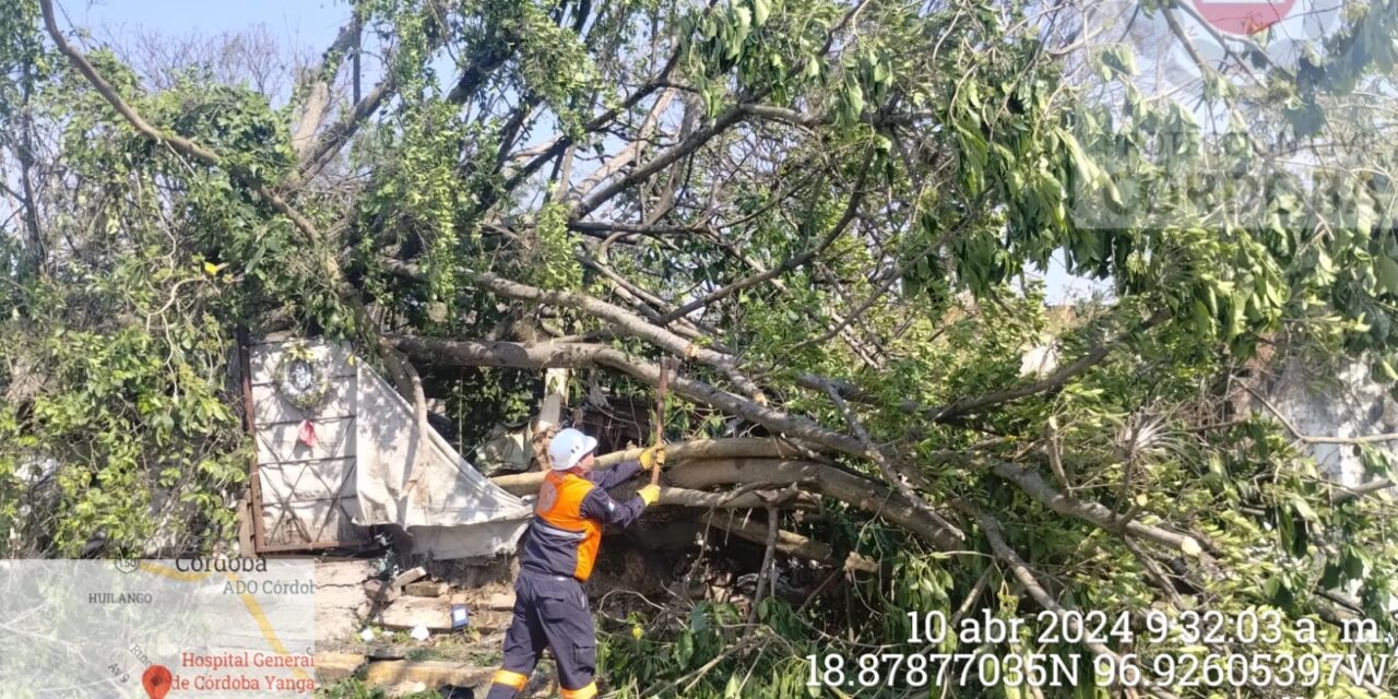 Coordina Protección Civil de Córdoba apoyo a la población por los efectos de surada