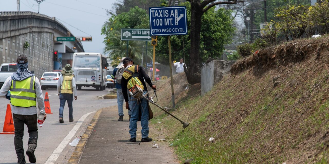 Exhortan a no tirar basura en bulevares de acceso a la ciudad de Córdoba