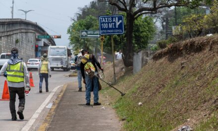 Exhortan a no tirar basura en bulevares de acceso a la ciudad de Córdoba