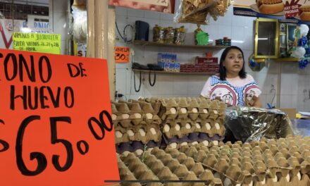 Por las nubes, el precio del huevo