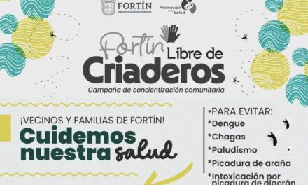 Invitan a la campaña “ Patio Limpio, Fortín Libre de Criaderos”