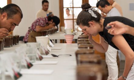 Se conocerá a los ganadores de “Taza de excelencia 2024” la próxima semana