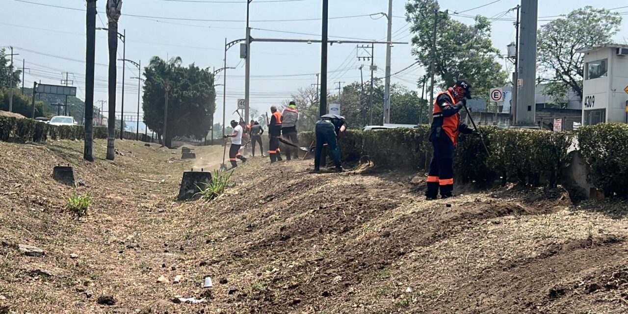 Limpian bulevar Tratados de Córdoba para prevenir inundaciones por lluvia