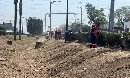 Limpian bulevar Tratados de Córdoba para prevenir inundaciones por lluvia