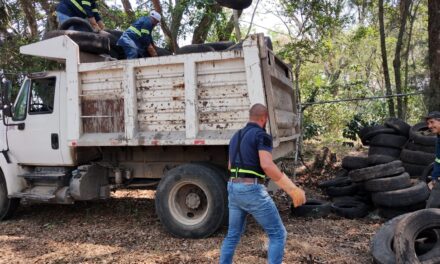 Retiran 33 toneladas de llantas y cacharros en 17 colonias de Córdoba