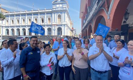 El resultado de la elección se debe defender en las urnas y no en los tribunales: Yunes Márquez