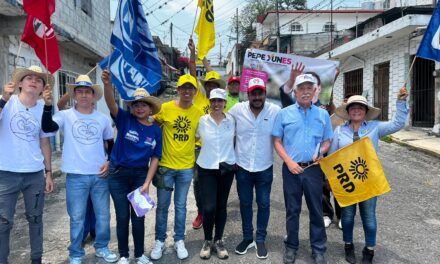 Mariana Ríos propone regresar espacios culturales y deportivos al Distrito 19