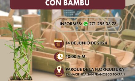 Inicia taller para el aprovechamiento en artesanías y propagación del bambú en Córdoba