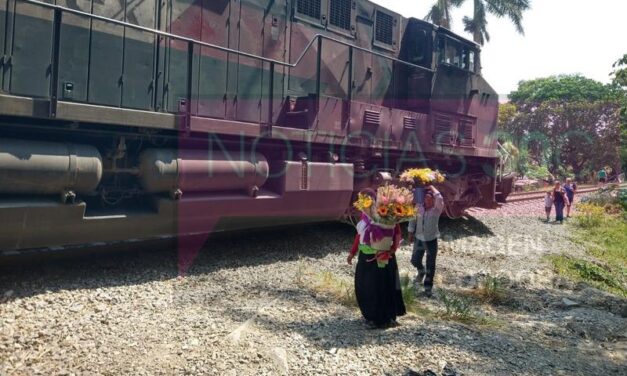 Se descarrila el tren en el bulevar Córdoba-Fortín