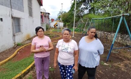 Vecinos de Cecadys piden revisión de un parque, presenta hundimiento