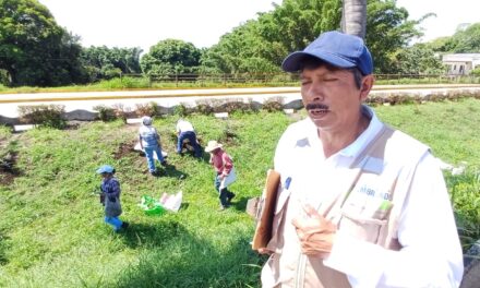 Se realiza jornada de reforestación en Córdoba