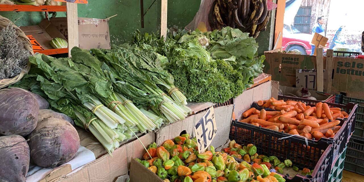 Olvídate de ponerle cilantro a tus tacos, el precio se va por las nubes