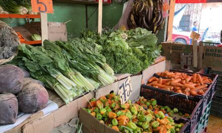 Olvídate de ponerle cilantro a tus tacos, el precio se va por las nubes