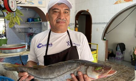 Se recupera venta de mariscos en un 80%