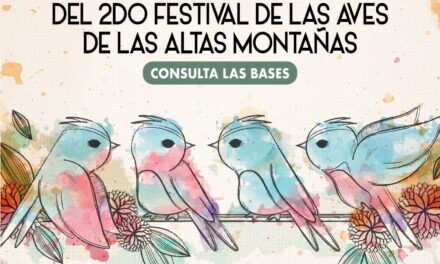 Cierre de convocatoria para participar en el concurso de dibujo del 2° Festival de las Aves de las Altas Montañas