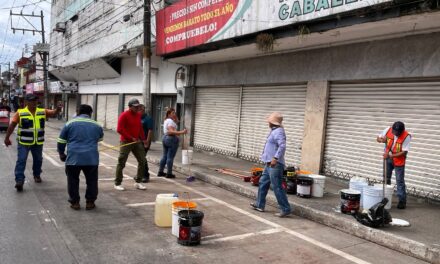 Recupera Departamento de Parquímetros áreas de estacionamiento cerca del mercado “Revolución”