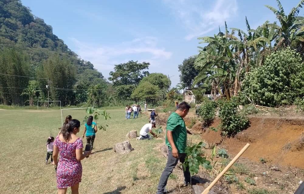 Inicia reforestación en escuelas primarias de la zona rural de Córdoba