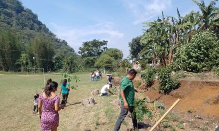 Inicia reforestación en escuelas primarias de la zona rural de Córdoba