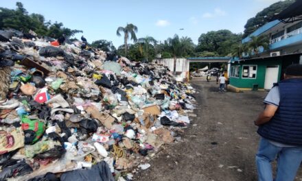 Acumulación de basura en patio de Limpia Pública, se debe al Metlac: Servicios Municipales