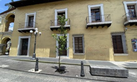 El arte urbano, llegó a edificios históricos de Córdoba