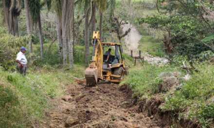 Brigadas especiales atienden caminos de la Sierra del Gallego en Córdoba