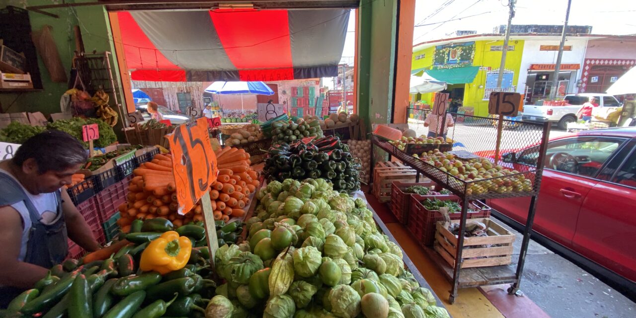 Da tregua cilantro y jitomate, bajan en su precio