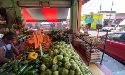 Da tregua cilantro y jitomate, bajan en su precio