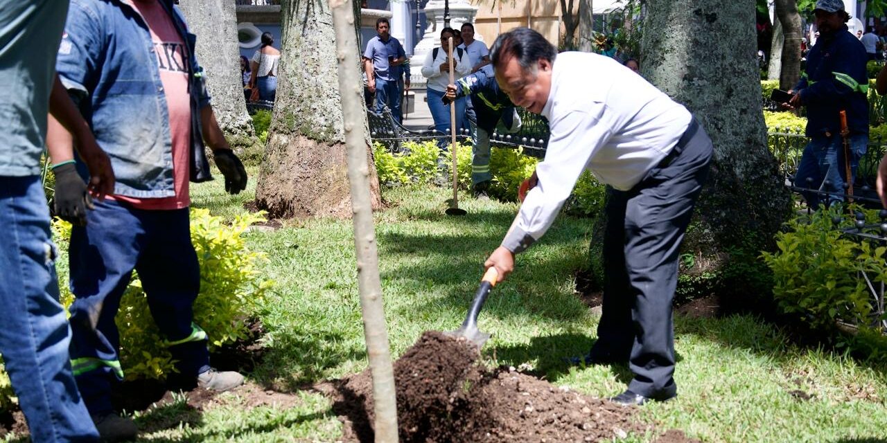 Firman autoridades municipales de Córdoba los Tratados por el Medio Ambiente, “Sembremos Vida, Cosechemos Agua