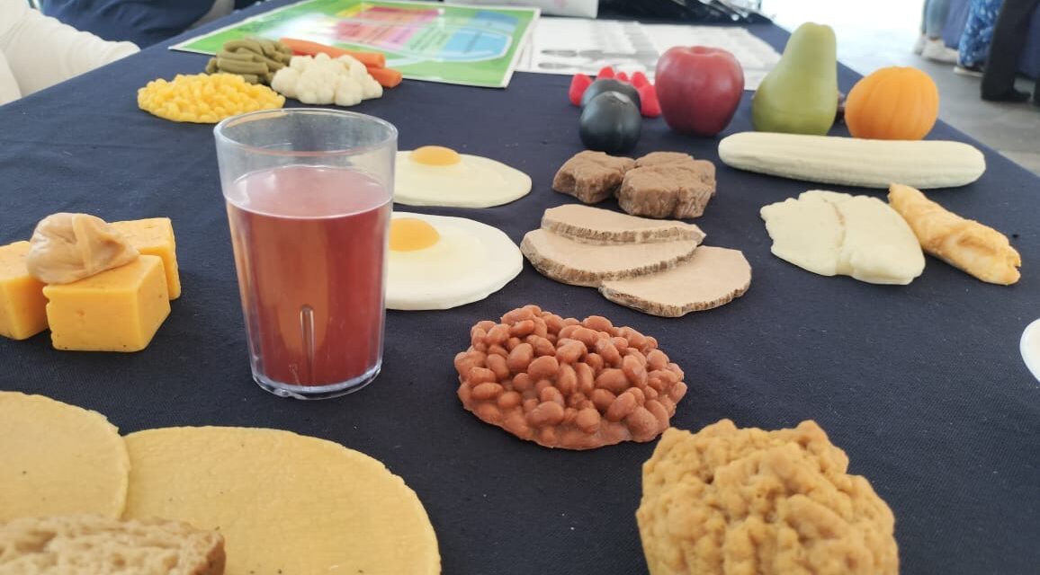 Promueven en escuelas el «Plato del Buen Comer»