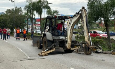 Coordina Obras Públicas trabajos de rehabilitación en el Tratados de Córdoba