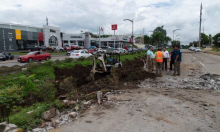 Restringen Boulevard Tratados de Córdoba para camiones pesados