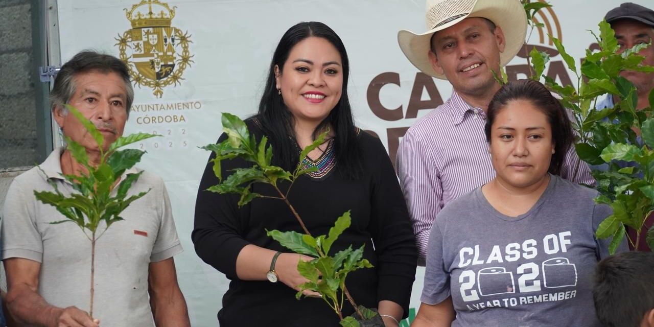 Entrega Vania López 12 mil plantas de café en siete comunidades de Córdoba