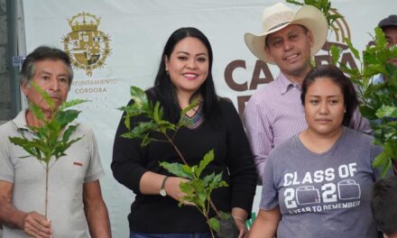 Entrega Vania López 12 mil plantas de café en siete comunidades de Córdoba